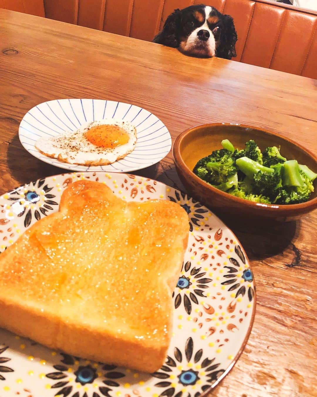 松本亜希のインスタグラム：「私の定番朝ごはん🍞🥦🍳 考えるのがめんどくさい時はいつもこれ💁‍♀️ ブロッコリー100g…©️5.2g 目玉焼き(卵1個)…©️0.2g パン60g…©️30g マーマレードジャム20g…©️12.6g 【©️は炭水化物量の事だと思ってください💁‍♀️】 合計©️48g 白米130g分と同じくらい🍚 野菜食べて卵食べてやっとパン🍞 . #1型糖尿病##糖尿病#カーボカウント#糖質#炭水化物」