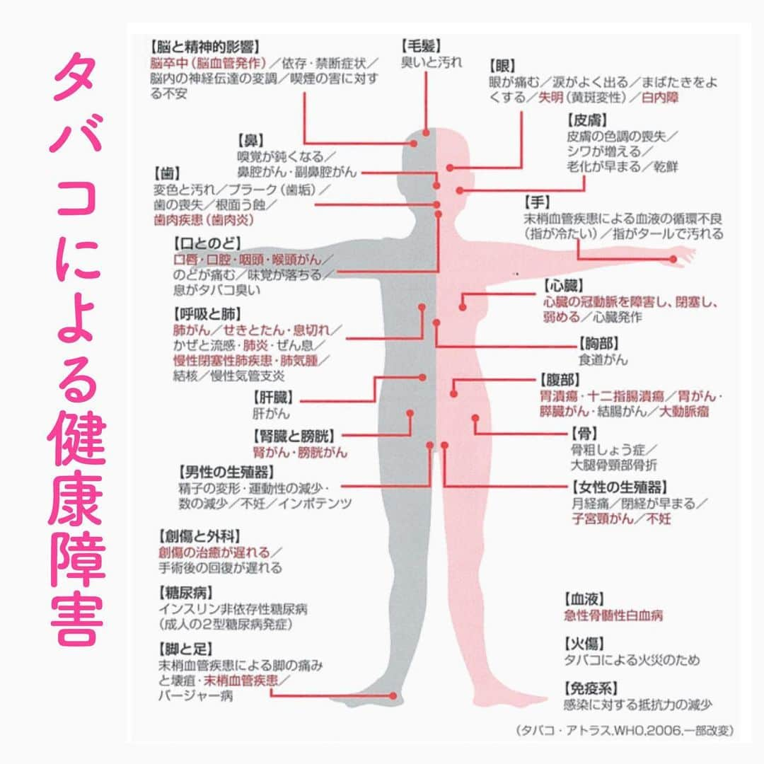 笑顔をリフォームする@健康小顔職人さんのインスタグラム写真 - (笑顔をリフォームする@健康小顔職人Instagram)「. 『百害あって一利なし』と言われるタバコですが、なぜタバコを辞められないのでしょうか？ ． それは、ニコチンには脳を一瞬にしてリラックスさせる効果があるので、気分転換を促してしまうからです。 ． 程良いリラックス効果なのでドラックほど脳への刺激はありませんが、依存性が強く長年常用している方が辞められないのはタバコを吸わないと落ち着かなくなるからです。 ． その見返りに体への負担は大きく健康に良いわけがありませんが、それも理解した上で辞められないのだと思いますので、吸われる方はマナーを守って時々体と向き合いながら嗜んで頂ければと思います😌 ． ． 幸せな笑顔が世界中に沢山溢れますように🌈✨ ． ． 💆🏻‍♀️心美体を整える「小顔整顔トリートメント」 👰ブライダル小顔🤰マタニティ小顔＆足リフレ ♨️代謝を上げる「Hot&Coldストーンリンパマッサージ」 ご予約はプロフ🔗→HP→予約サイトへ！ ． ． ✨気を整えて心と体を健康に！チャクラエネルギーセラピー ※Hペッパー等の予約サイトからは予約できません。ご予約は必ずホームページからお願いします(プロフ🔗) ． ． 💟あなたも小顔職人になれる👍 小顔職人養成スクール！スクール生募集中！詳細・お申込はプロフ→HP→小顔養成スクールへ！ ． ． 🍀小顔職人が作ったリフトアップクリーム&ボタニカルオイルを紹介！更に小顔や美容を解説！ @happy_cosme_kogaoshokunin ． ． #タバコの煙りでアレルギー反応を起します #禁煙席 #歩きタバコはやめましょう  #タバコの吸い過ぎにご注意を #タバコ #健康管理」2月15日 7時45分 - kogao_shokunin