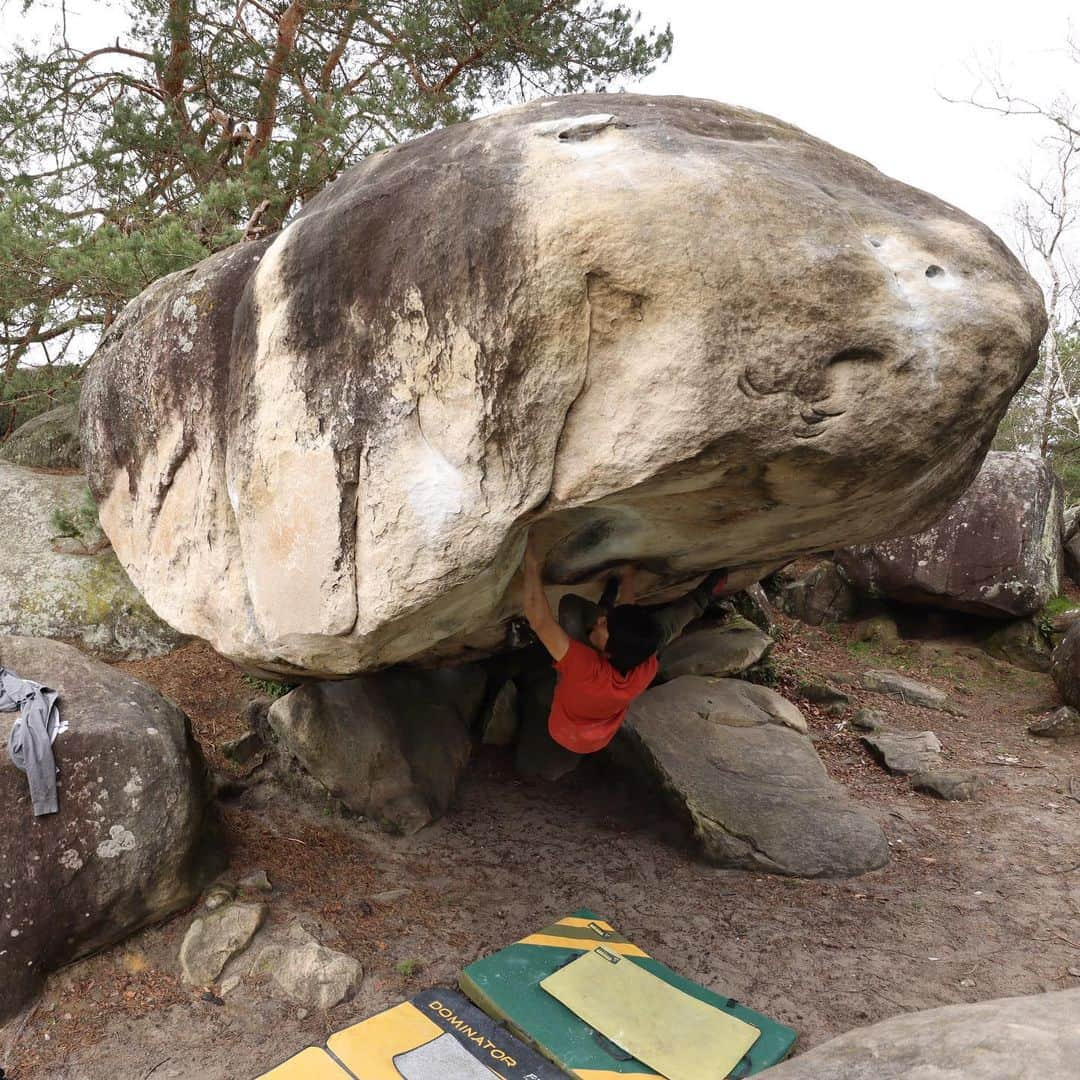 濱田健介のインスタグラム：「Fontainebleau Day3. It was rainy in yesterday. Today, I went to Cul de Chien and Franchard Isatis. Some problems in Fontainebleau felt so difficult to me. I hope much better tomorrow. Photo and video are Eclipse 7C. ブロー3日目。昨日は雨で強制レスト。でも指皮的にもちょうど良かったかも。 今日は雨上がりってことで乾きやすいらしいCul de Chienってエリアへ。 アップで Le Toit du Cul de Chien 7A を登って、Eclipse 7C をトライ。サクッと登るつもりが余裕でハマった。頑張って登って、SDのTotal Eclipse 8A+ はリーチ的、実力的に不可能だと悟り移動。 Franchard Isatis のエリアに移動して、何本か登って終了。7台でも普通に出来んやつもあって厳しいー。 もはやこんな感じで8台なんて登れるのか？触ったやつがたまたま辛かったということにしてくれ。 写真と動画はEclipse 7C。 @rockmasterhq  @unparallelup  @organicclimbing  @nogradjustfeeling  @camp1889」