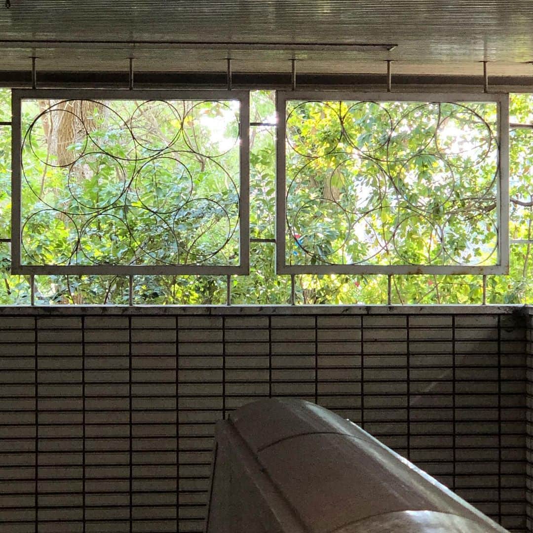 能町みね子さんのインスタグラム写真 - (能町みね子Instagram)「兵庫県庁美しすぎた」2月15日 9時15分 - nmcmnc