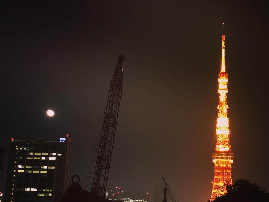 金子三勇士さんのインスタグラム写真 - (金子三勇士Instagram)「The towers of Tokyo... #Tokyotower #night #goodevening #tokyo #japan #東京タワー #月 #moon #moonlight #月明かり #夜景 #東京 #こんばんは」2月15日 9時35分 - miyujikaneko_official