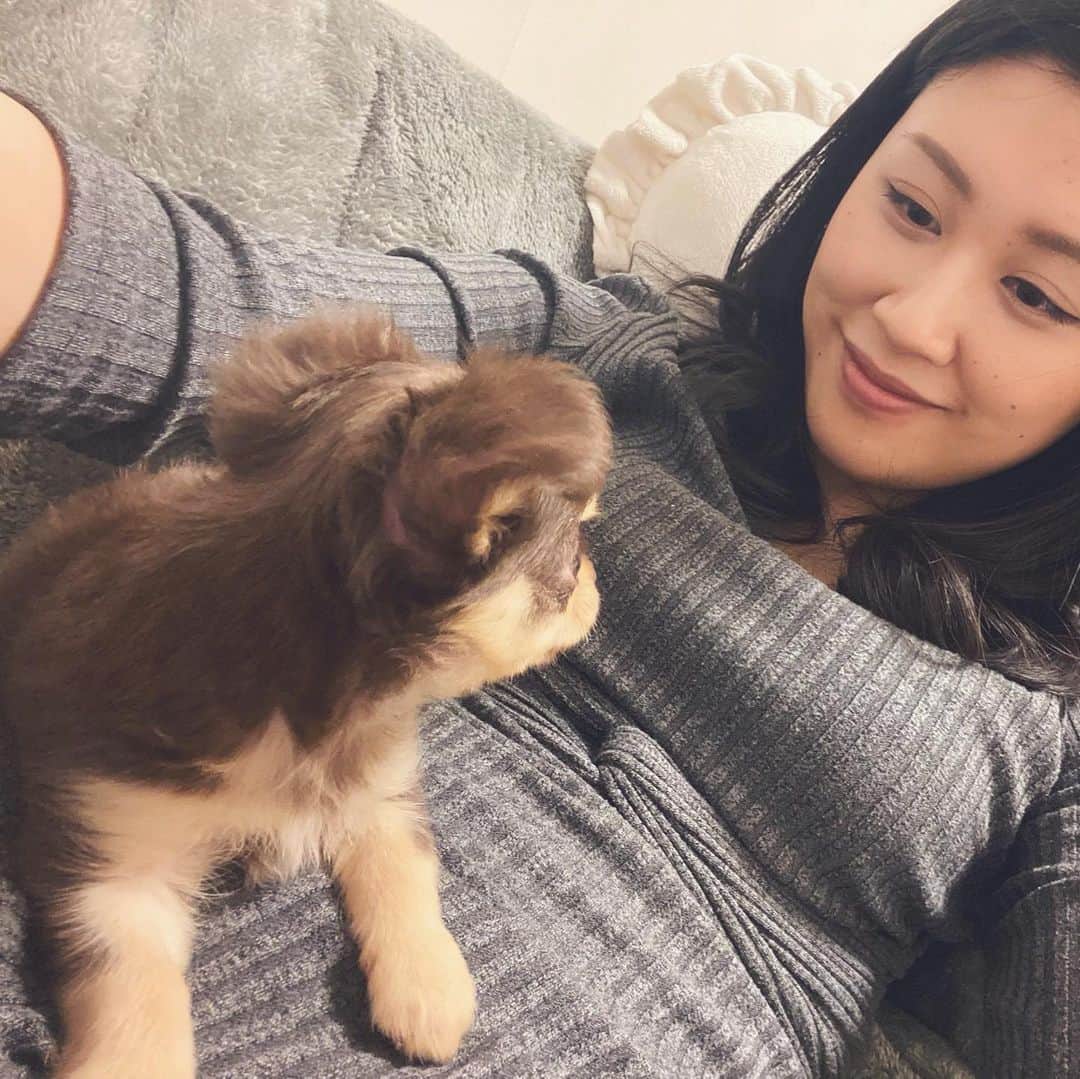 Rina Itagakiのインスタグラム：「Happy Late Valentine’s Day🌹 最近インスタが #犬スタグラム になってるよ、と妹から指摘が入ったので😅 たまには自分の顔も🤣 #チワワ3ヶ月 #犬のいる暮らし #dogstagram #dogsofinstagram」