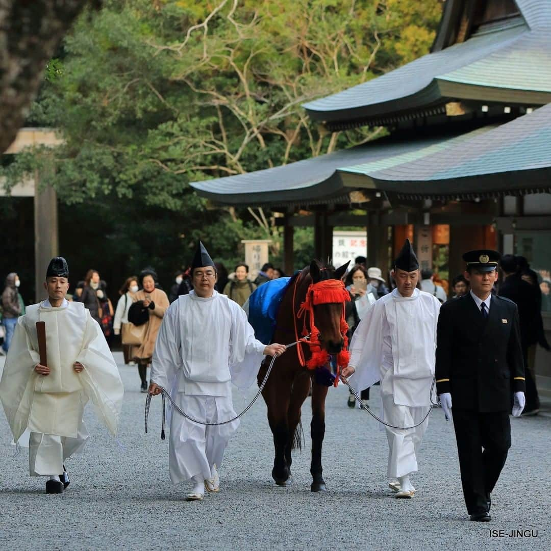 伊勢神宮さんのインスタグラム写真 - (伊勢神宮Instagram)「#伊勢神宮 #神宮 #神社 #心のふるさと #内宮 #皇大神宮 #神馬牽参 #神馬 #馬 #草新号 #ISEJINGU #JINGU #SOUL_of_JAPAN #Japan #Jinja #Shinto #Naiku #Kotaijingu #sacredhorse #horse」2月15日 11時00分 - isejingu.official