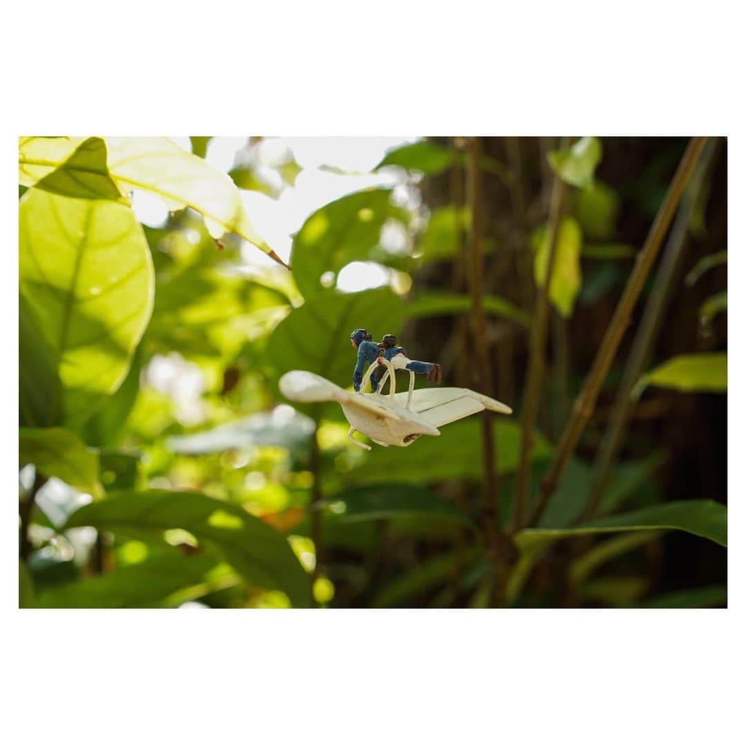 のインスタグラム：「#風の谷のナウシカ #ナウシカ #nausicaa  #ジブリ #ghibli #ミニチュア #miniature #nqouminiature」