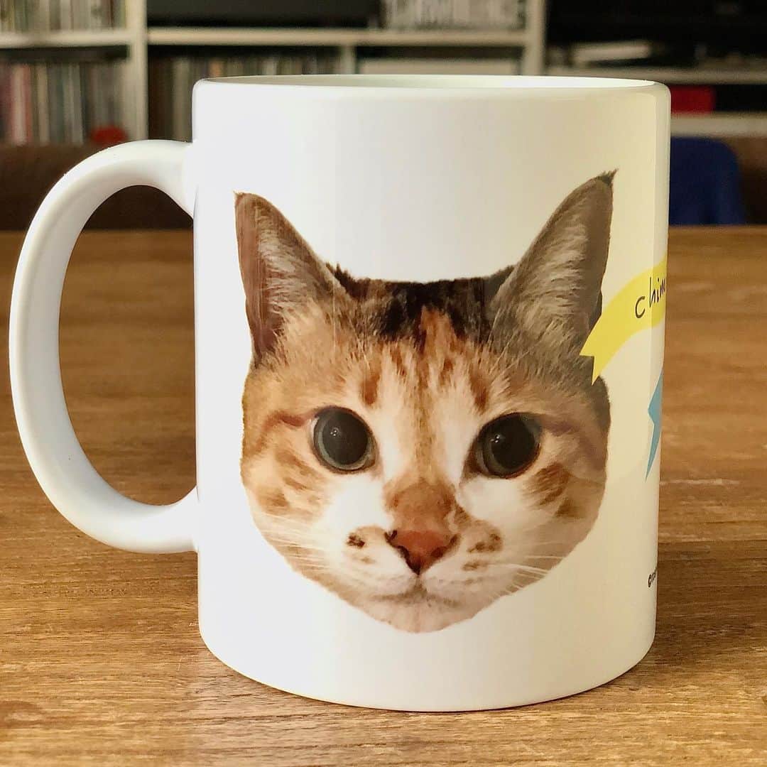 山田稔明さんのインスタグラム写真 - (山田稔明Instagram)「これも可愛くて超やばい新グッズ…。初めてマグカップを作りました。ちよだ猫まつりで販売します。「チミ＆ママン」「スノードーム」「星の夢」の3種類。自分が欲しくて作ったのですが、ものすごく出来が良いし、たっぷり入って根気のいる仕事中も重宝しそう。数に限りがあるのでお一人様お買い求めは1種類につきひとつとさせていただきます。毎日の暮らしにぜひ。売り切れ必至ですが通販や受注受付など再販の機会を考えていますのでどうか焦らず！今年はカレンダー10周年なので歴代のデザインでいろんなグッズを作ってみたいと思ってます。その第一弾です。 #ポチ実 #チミママ #山田稔明カレンダー #ちよだ猫まつり」2月15日 12時47分 - toshiakiyamada