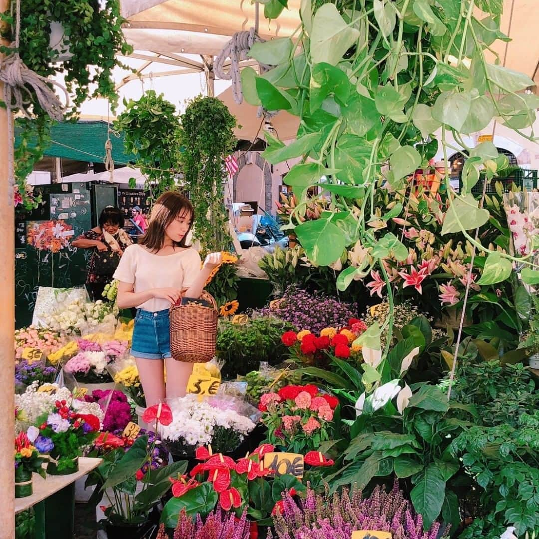 秋元真夏さんのインスタグラム写真 - (秋元真夏Instagram)「きれいなお花もたくさん！ それでもやっぱりまなったんに目がいってしまう・・・😥💘 #秋元真夏2nd写真集 #まなったんの写真集を応援しよう #4月8日発売  #Italy #花より真夏」2月15日 13時19分 - manatsu.akimoto_official