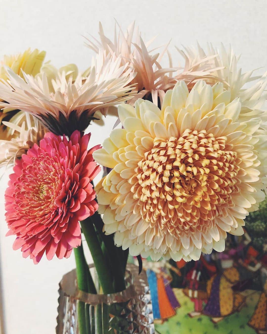 尾形沙耶香さんのインスタグラム写真 - (尾形沙耶香Instagram)「#flowers 💐  #梅」2月15日 13時35分 - sayakaogata