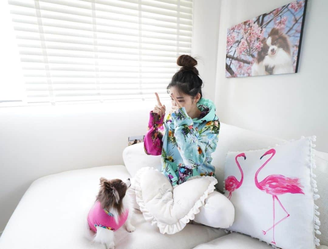 mycoのインスタグラム：「おうちでごろごろしてます。 집에서 뒹굴뒹굴 거리고 있어 👱‍♀️どこおでかけする？？ 🐶おやつください  今日はコートいらなそうね♡ みなさんは今日なにしてる？  #dogstagram #tokyo #myhome #ootd」