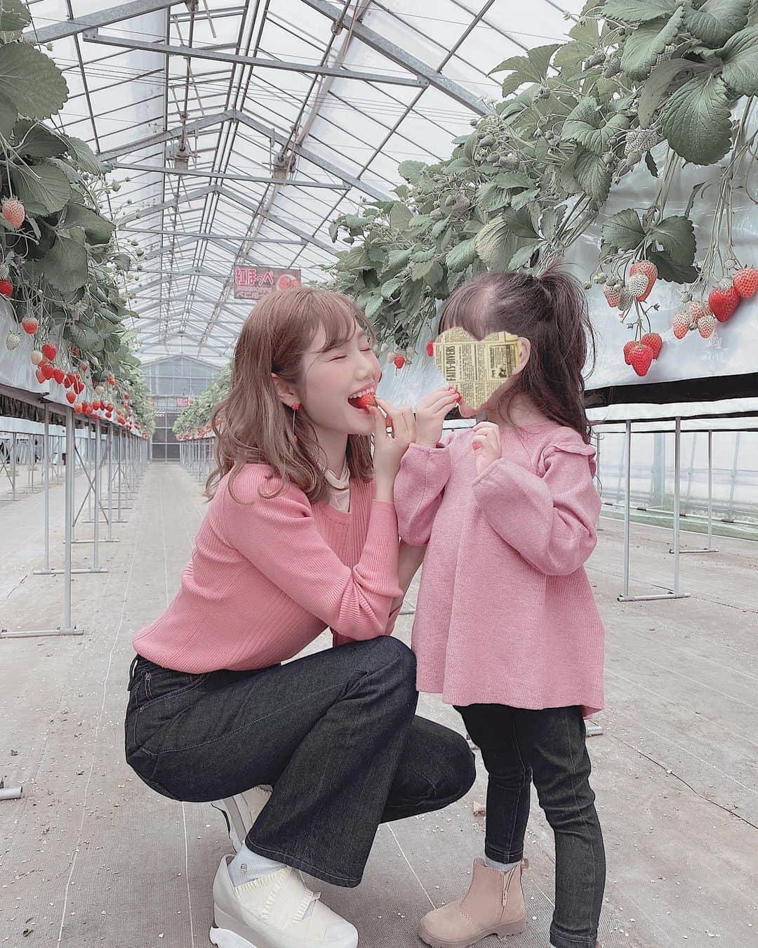 ほしのこのグルメインスタ