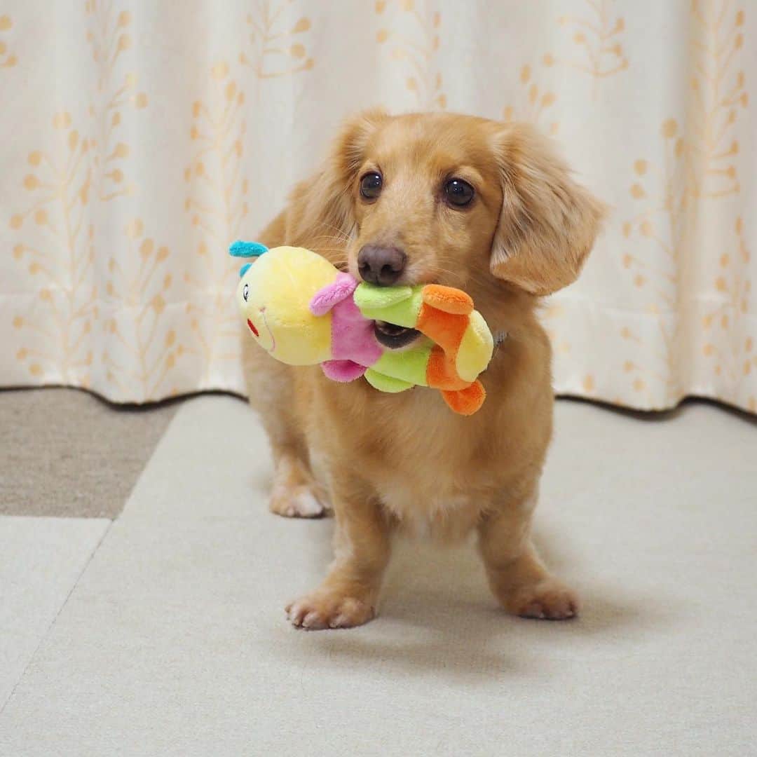 Sora Momoのインスタグラム