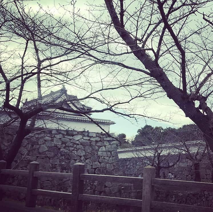 新居昭乃のインスタグラム