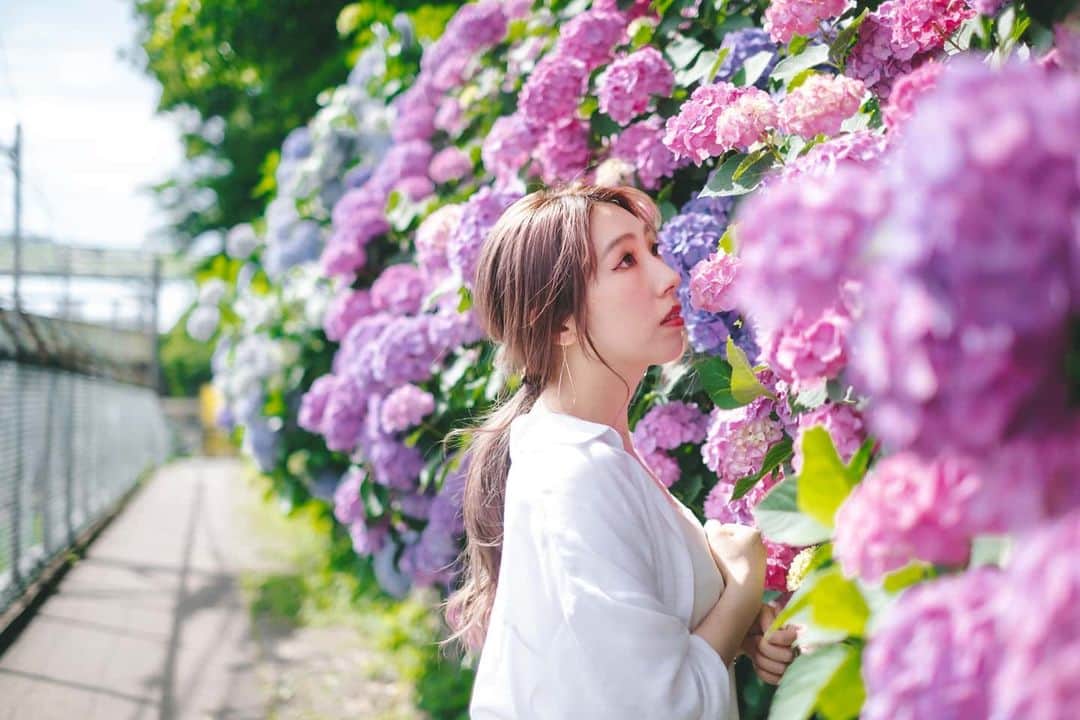 貴愛kwiae Officialのインスタグラム：「バレンタインは明日明日🎶と思ってたら 今日ですよ。って言われた昨日。。😇 みんな良いバレンタイン過ごせた？ * * バレンタインぽい写真がないので、私の好きなお花シリーズ笑 良い週末を...💙💛💖 * * * #愛の祝祭 #photo @joylous_tokyo #photooftheday #pink  #flower #hydrangea #紫陽花 #バレンタイン #Valentine  #ilove #like #japan #japon #pic #photograph #花 #花部」