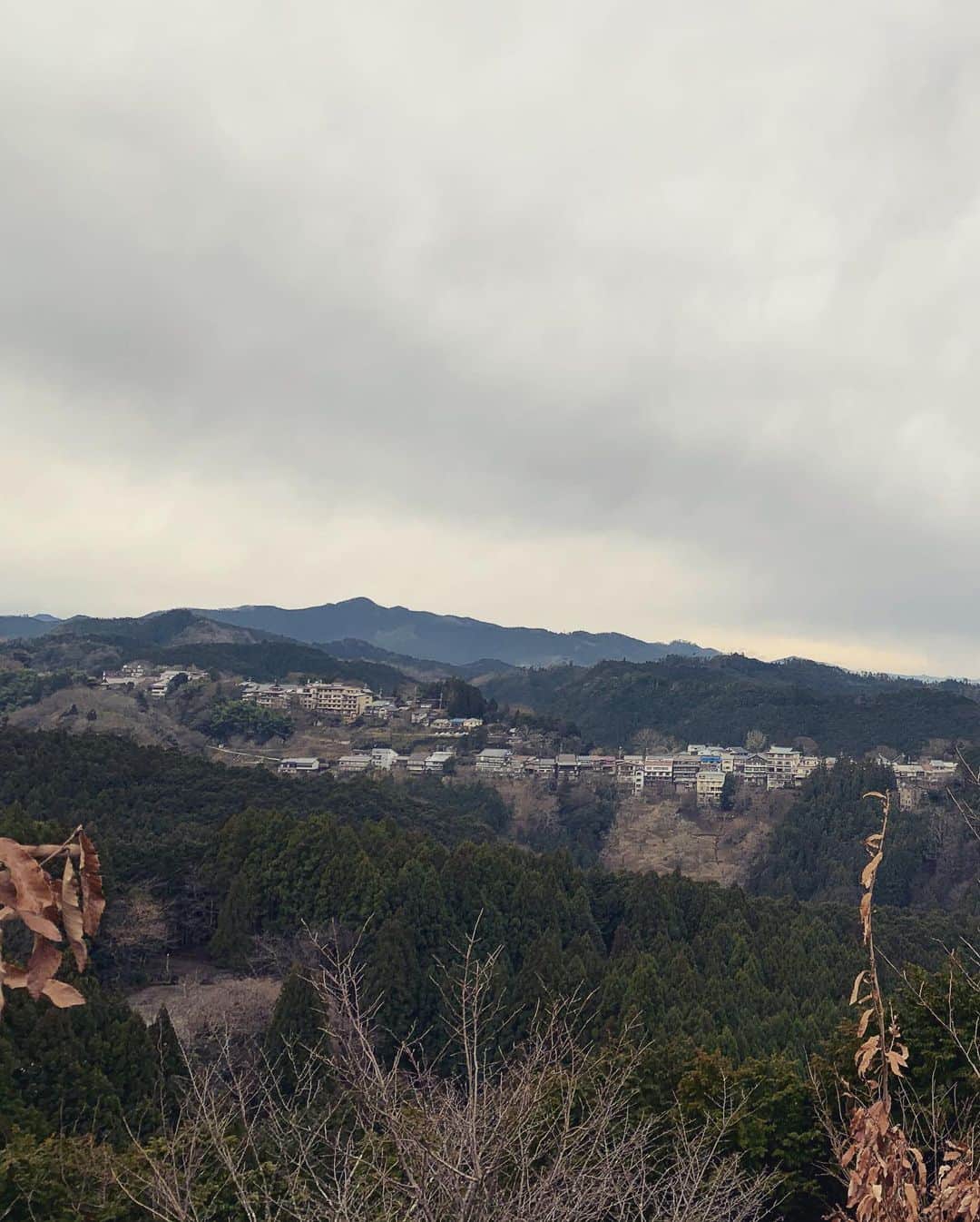 大抜卓人さんのインスタグラム写真 - (大抜卓人Instagram)「今日は奈良県・吉野山取材😃 地元の方とDaiwa Sakura Aidが管理する 桜の育成園にて種植え作業を🌸 昨年の6月に山から拾い集めた桜の種を 寝かせてから土へ🌸 何千もの種を植えてもその年の 気候や種の状態によって 芽が出る本数が1本という年も💦 芽が出て立派に育った木を 山へ植樹する作業で本日は終了😀 一目千本の桜の景色は こうして何年も受け継がれていきます😃 今年も素敵な春が訪れますように🌸 #fm802 #daiwasakuraaid  #おはたく」2月15日 16時41分 - takutoonuki
