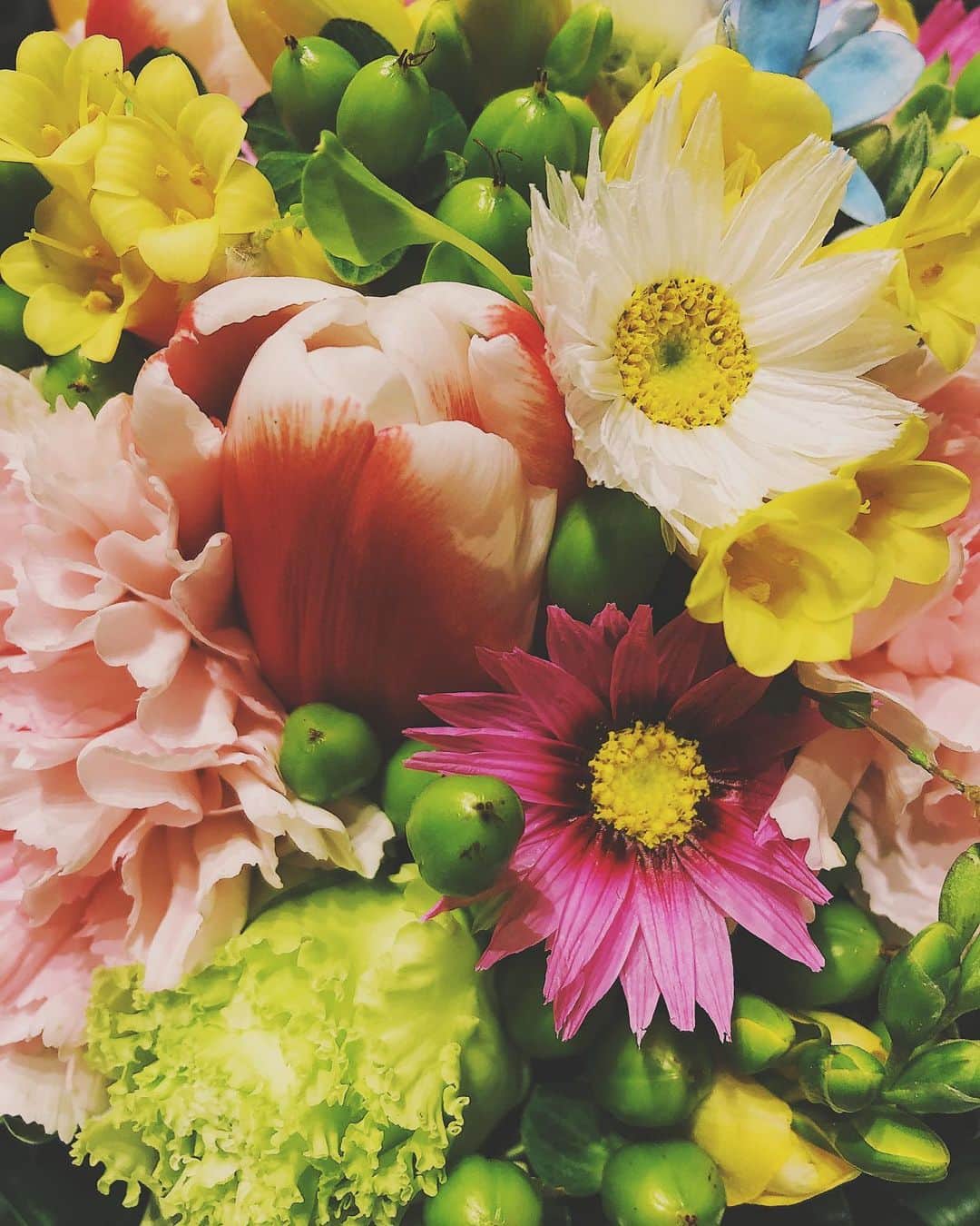 水谷望愛さんのインスタグラム写真 - (水谷望愛Instagram)「🌹 ❤️ ❤️ ❤️ 一週間早いよっ🤭」2月15日 17時18分 - noa0209_x_x_