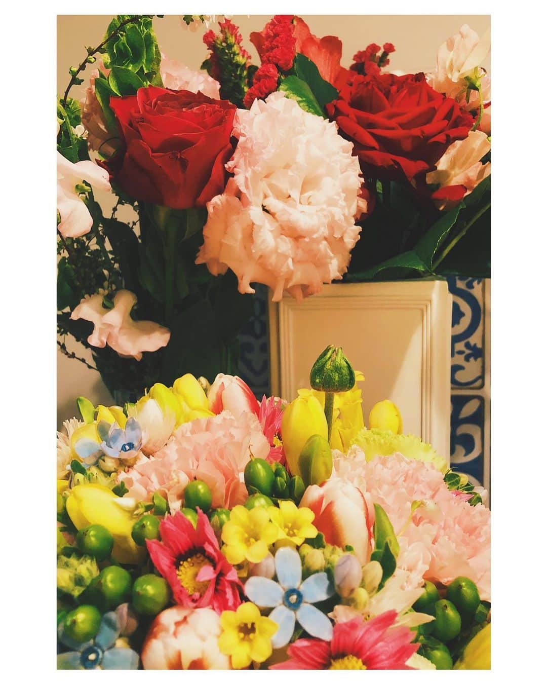 水谷望愛さんのインスタグラム写真 - (水谷望愛Instagram)「🌹 ❤️ ❤️ ❤️ 一週間早いよっ🤭」2月15日 17時18分 - noa0209_x_x_