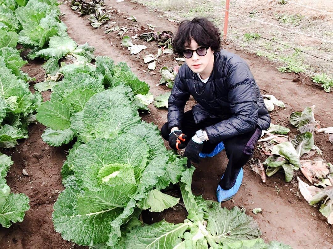 渡部秀さんのインスタグラム写真 - (渡部秀Instagram)「手洗いうがいしてくださいね。」2月15日 17時12分 - shu_samurai