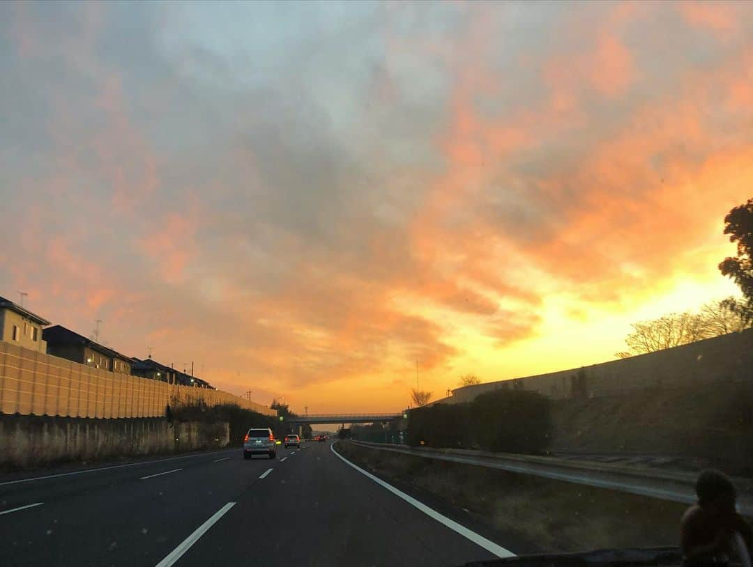 小堺大輔さんのインスタグラム写真 - (小堺大輔Instagram)「福島県裏磐梯。  地元の人も生まれてこのかた1度も体験した事のない温暖化により、今年は全面凍結しなかった小野川湖でのワカサギ釣り。 こんなの初めて。  地球が怒ってるよね。  いつも我が家で使っている国産有機農法の大豆を自然の力を存分に使ってお醤油や味噌を作っているヤマキの工場見学も。  自然との共存をもっと意識し、地球に優しい生き方や買い物をしていかないとね、 と改めて再認識するいい時間を仲間達と共有できました。  にしても、昼も夜もよく飲んで みんなわいわい最高でした。  さて、このまま鴨川向かいます。 ビーチハウス、いよいよ終盤です。  #地球 #自然との調和」2月15日 17時37分 - daisuke_kosakai