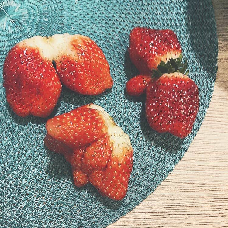 のインスタグラム：「. 𝙷𝚊𝚙𝚙𝚢 𝚅𝚊𝚕𝚎𝚗𝚝𝚒𝚗𝚎 ♡♥ . 体調悪くて何も出来ず🌀 苺狩り行きたいなあ🥺🍓 . #valentine #chocolate #girls #boys #strawberry #fruits #instaxlife」