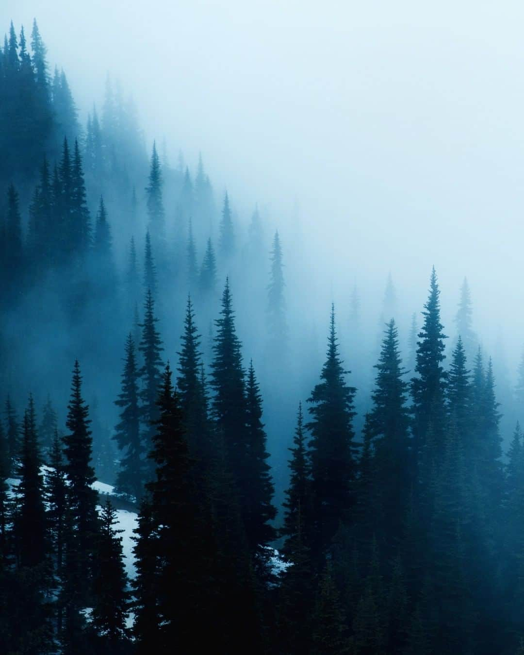 National Geographic Travelさんのインスタグラム写真 - (National Geographic TravelInstagram)「Photo by @MichaelGeorge | Fog is a never-ending staple of the Pacific Northwest. It rolls in from the sea, rises from the trees, and descends from the clouds. This image was taken on Hurricane Ridge in Washington State during a hike in the off-season. The evergreen sentries stand stark against the dense fog and the bright snow. The trees look ghostly, quickly fading from sight. Hurricane Ridge is located within Olympic National Park. #evergreen #hurricaneridge #pacificnorthwest #washington #olympicnationalpark」2月15日 18時08分 - natgeotravel