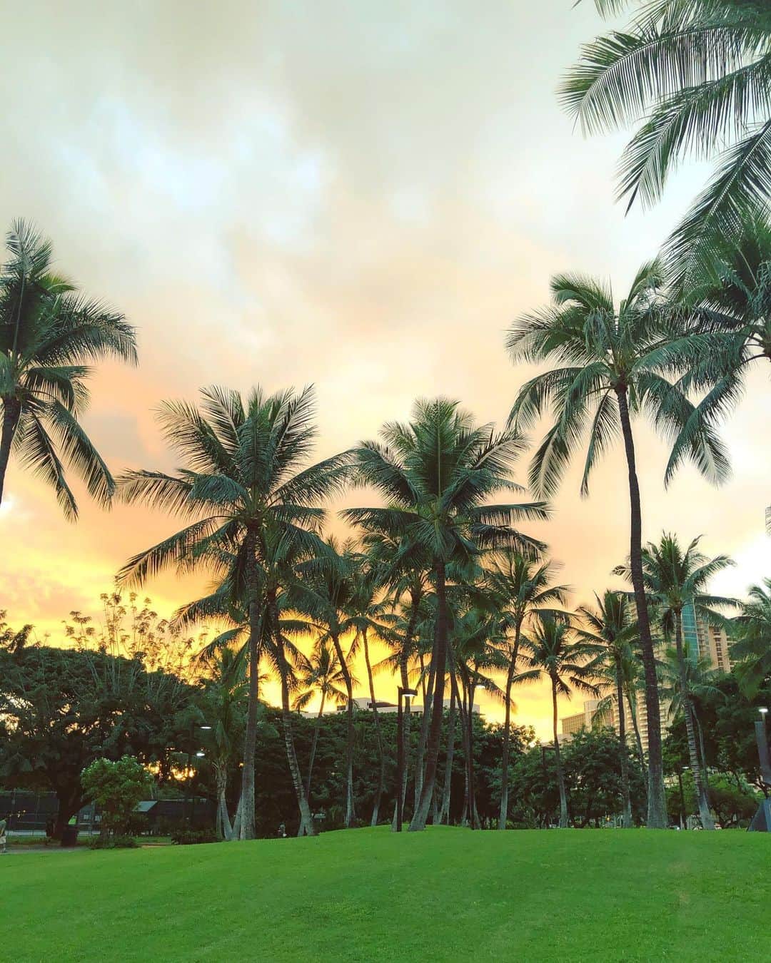 Lilly and Emmaさんのインスタグラム写真 - (Lilly and EmmaInstagram)「. . Have a good weekend🎶 . #lillyandemma #hawaii #feelaloha #mlkparade #luckywelivehi #luckyliveinhawaii #instagood #photooftheday #love #happy #sunset #aloha #ハワイ #バケーション #ハワイ好き #ハワイ好きな人と繋がりたい」2月15日 19時05分 - lilly_emma_hawaii