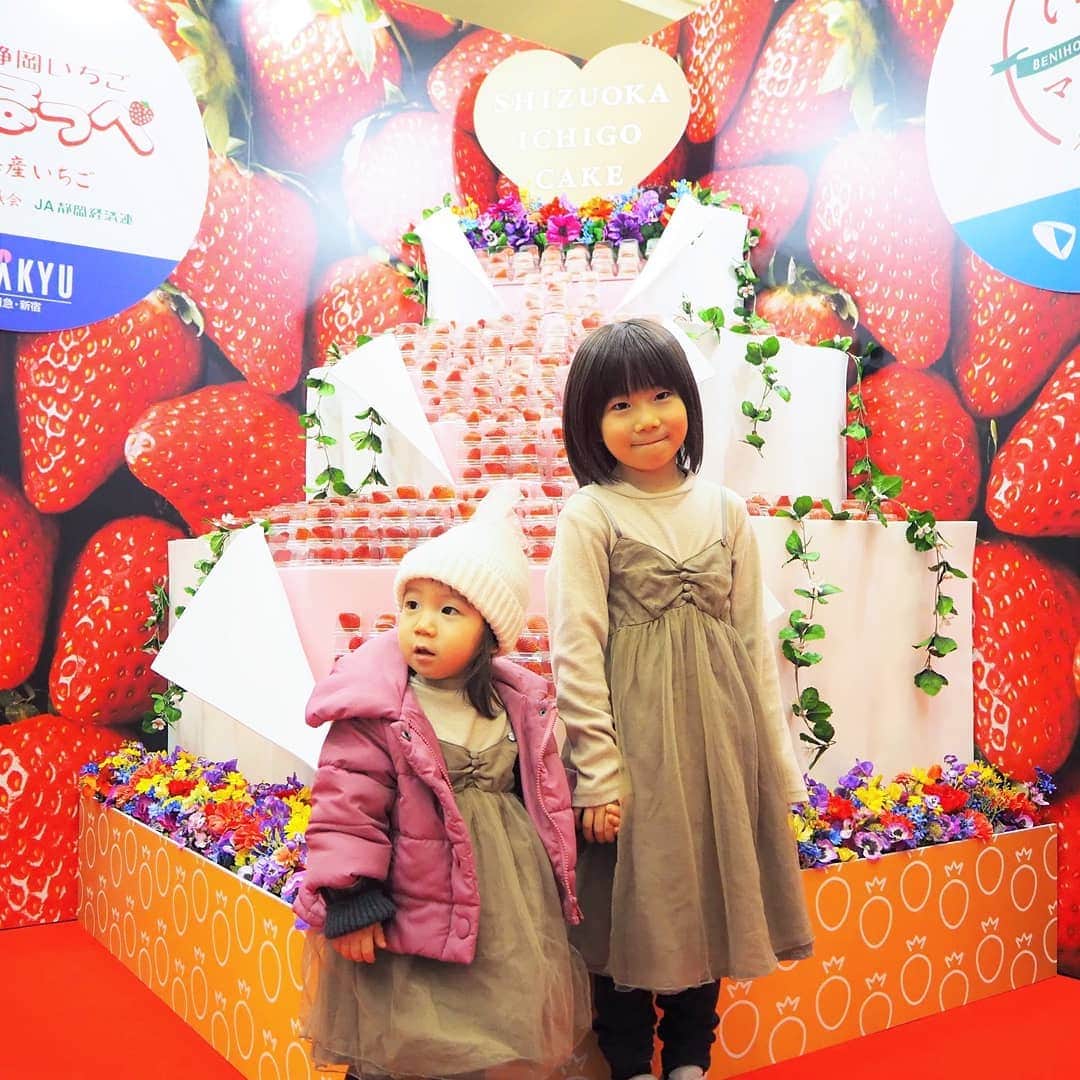 Kuboi Ayumiさんのインスタグラム写真 - (Kuboi AyumiInstagram)「やっぱりいちごが好きすぎる☆﻿ ﻿ 今日からはじまった静岡いちごマルシェ（@shizuoka_ichigo）に遊びに行ってきました。﻿ ﻿ 明日まで小田急百貨店新宿店１階の特設会場にかわいすぎる「静岡いちごケーキ」のフォトスポットも出ていて﻿ 先着2,000名にいちごプレゼントが！なんて太っ腹！！﻿ 明日もやっているみたいなので、気になる方は遊びに行ってみてくださいね。﻿ ﻿ 紅ほっぺ、きらぴ香の試食・販売会があったりも。﻿ ﻿ 新宿サザンテラス広場には静岡いちごカフェも出ていて、静岡いちごスムージーとバブルワッフルを堪能してきました。﻿ ﻿ スムージーは濃厚で、ワッフルはふわふわ生地にいちごがたっぷりで目でも楽しめちゃいました。﻿ 静岡いちごのビールもあったのですが、娘たちと一緒だったのでグッと我慢で（笑）﻿ ﻿ ちなみにサザンテラスでも明日、先着３００名に静岡いちごを１粒プレゼントがあるみたいですよ。﻿ ﻿ ほかにも、ハイアットリージェンシー東京や新宿ミロード、﻿ 小田急エースなど、いろいろなところで期間限定いちごメニューが出ているようなので、新宿でいちごの食べ歩きなんていいですね！﻿ ﻿ ■shoes #ダイヤルドライブ ﻿ ＊JA静岡経済連様よりご招待いただきました。﻿ ﻿ ﻿ #いちご #strawberry #紅ほっぺ #きらぴ香 #イベント #新宿 #shinjyuku #tokyo  #pr #静岡いちごマルシェ20﻿ #静岡 #shizuoka #女の子ママ」2月15日 19時23分 - himekagami