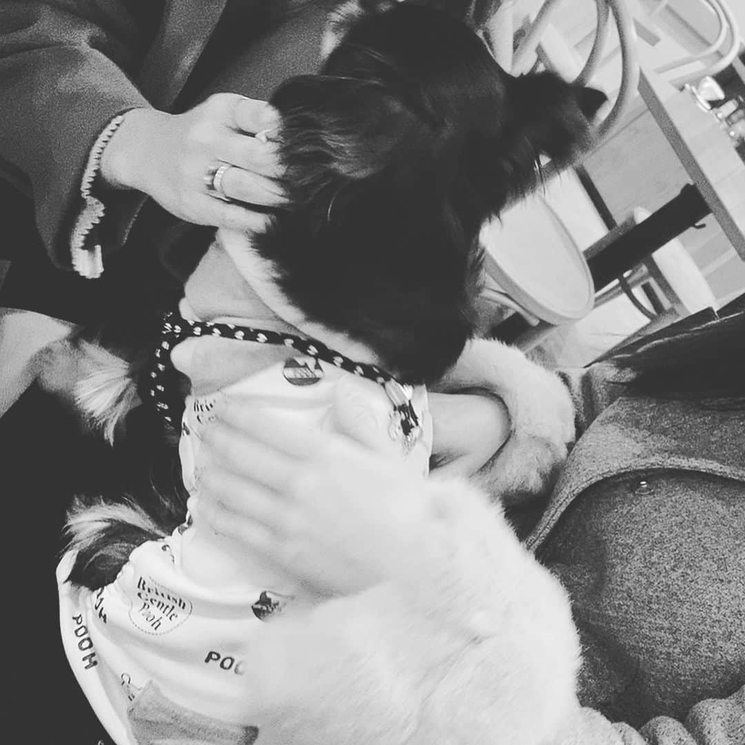 古畑星夏さんのインスタグラム写真 - (古畑星夏Instagram)「⠀ るいるいとお台場にて犬会🐶♡ ⠀ 相変わらず2匹とも似てる笑 ⠀ 楽しかったね☺️ ⠀ #お台場#ヴィーナスフォート#犬会」2月15日 20時03分 - starandsummer