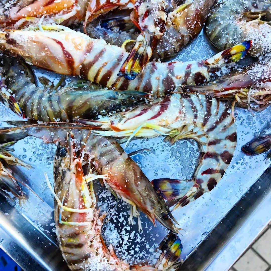 のインスタグラム：「だいぶコントラストと彩度あげちゃったけどエビ」