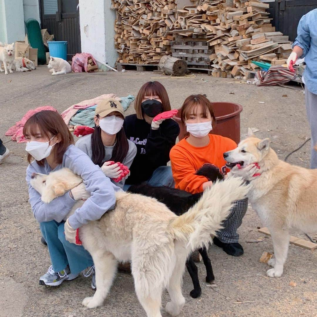 スアさんのインスタグラム写真 - (スアInstagram)「예전부터 너무너무 가고싶었지만 하는 방법을 몰라서 실천하지 못 했던 유기견 봉사활동 ! 😳 처음엔 살짝 두려움도 있었는데 막상 가보니 이렇게 맑은 영혼들이 없다 😭 가서 좋은 사람들도 만나고 좋은 경험도 하고 왔습니당 ❤️ 이걸 시작으로 자주 봅시다요..❤️ 오늘 너무 고생 많으셨어요 !!! 🧚🏻‍♀️」2月15日 21時52分 - midoricoo