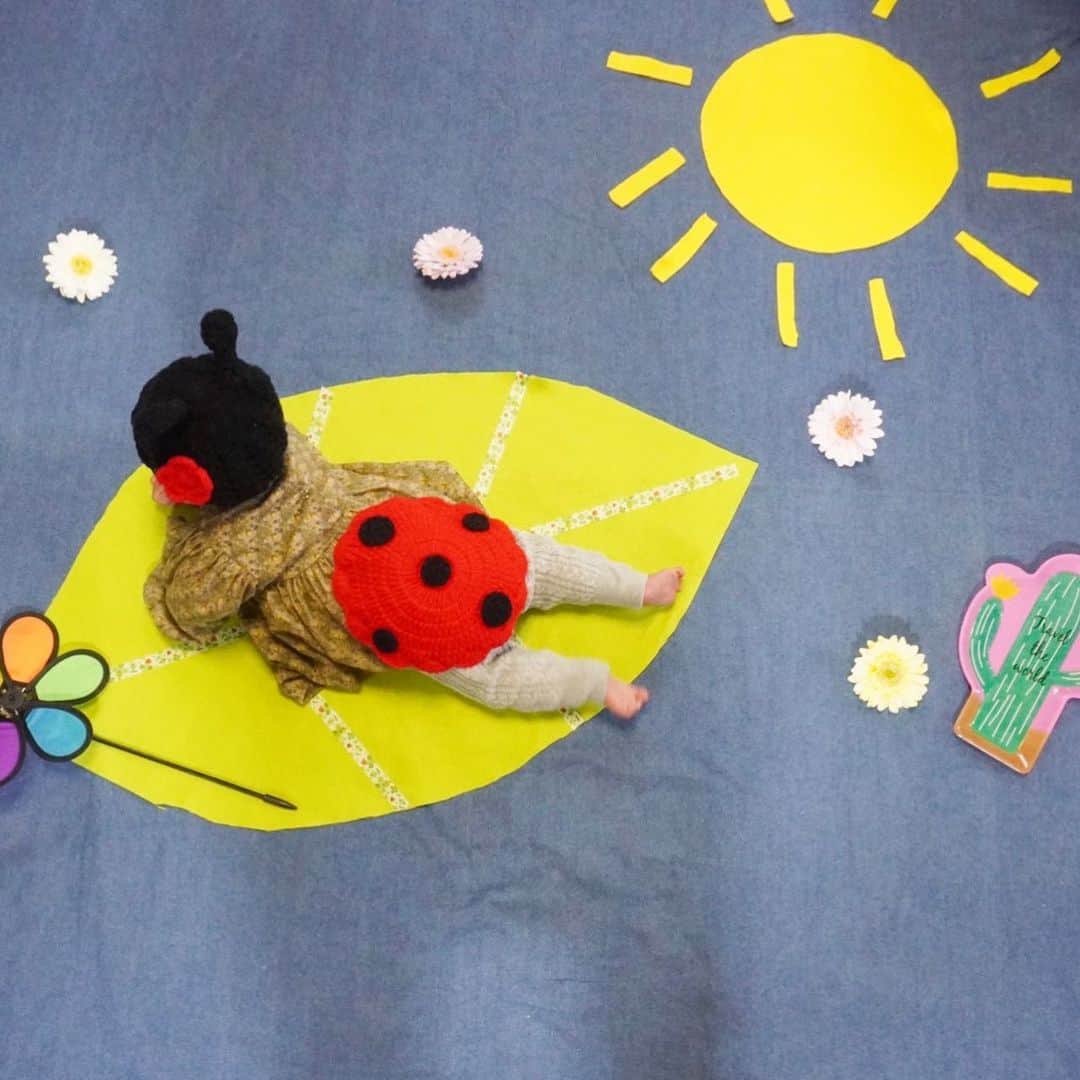 川畑雅秀さんのインスタグラム写真 川畑雅秀instagram 可愛いいてんとう虫ちゃんが来たぁ 赤ちゃん 生後2ヶ月 てんとう虫 可愛い 月ちゃん かわばたくん 2月15日 21時52分 Kawabata Kun