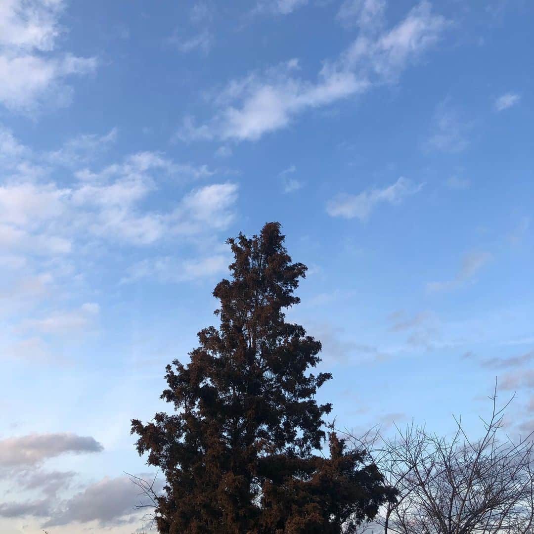 モトーラ世理奈さんのインスタグラム写真 - (モトーラ世理奈Instagram)2月15日 22時42分 - sereeeenam