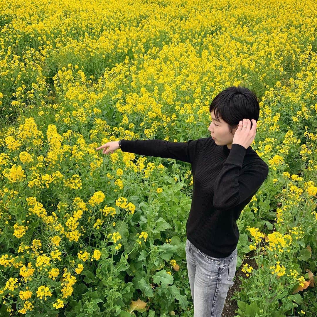 森なな子さんのインスタグラム写真 - (森なな子Instagram)「菜の花に紛れて🌻 #菜の花 #菜の花畑 #flowers」2月15日 23時03分 - nanako.m1988