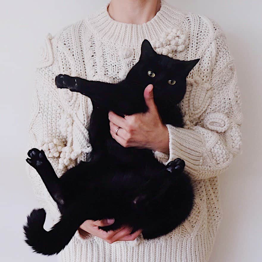 ギネス & ピムスさんのインスタグラム写真 - (ギネス & ピムスInstagram)「15/02/2020 Happy Caturday! ・ A voluminous knitted top with 3 boys. And a longer than usual Pimms. Have a nice weekend, everyone! ・ ・ 久々に三兄弟抱っこ写真。 そしていつもより長いピム丸。笑 日本ですぐ着られるように ボリューミーなニットを かさばるの覚悟で 手荷物で持って来たのに、 東京は想像してたよりも暖かく なかなか着られない😂 これなら船便でよかった… それでは皆さま素敵な週末を♬ ・ ・  #ギネスくん #ピムスくん #ギネピムと凪くん  #1yearold #1歳 #1歳2ヶ月  #babyboy #男の子ベビー #赤ちゃんのいる生活 #赤ちゃんのいる暮らし #赤ちゃんと猫 #猫と赤ちゃん」2月15日 23時06分 - rina_takei