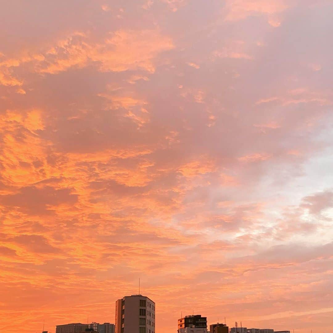 石田ゆり子さんのインスタグラム写真 - (石田ゆり子Instagram)「今朝の朝焼け。 ピンクの空気を吸い込む。 おはよう。 Good morning 👏🏻👏🏻」2月16日 8時55分 - yuriyuri1003