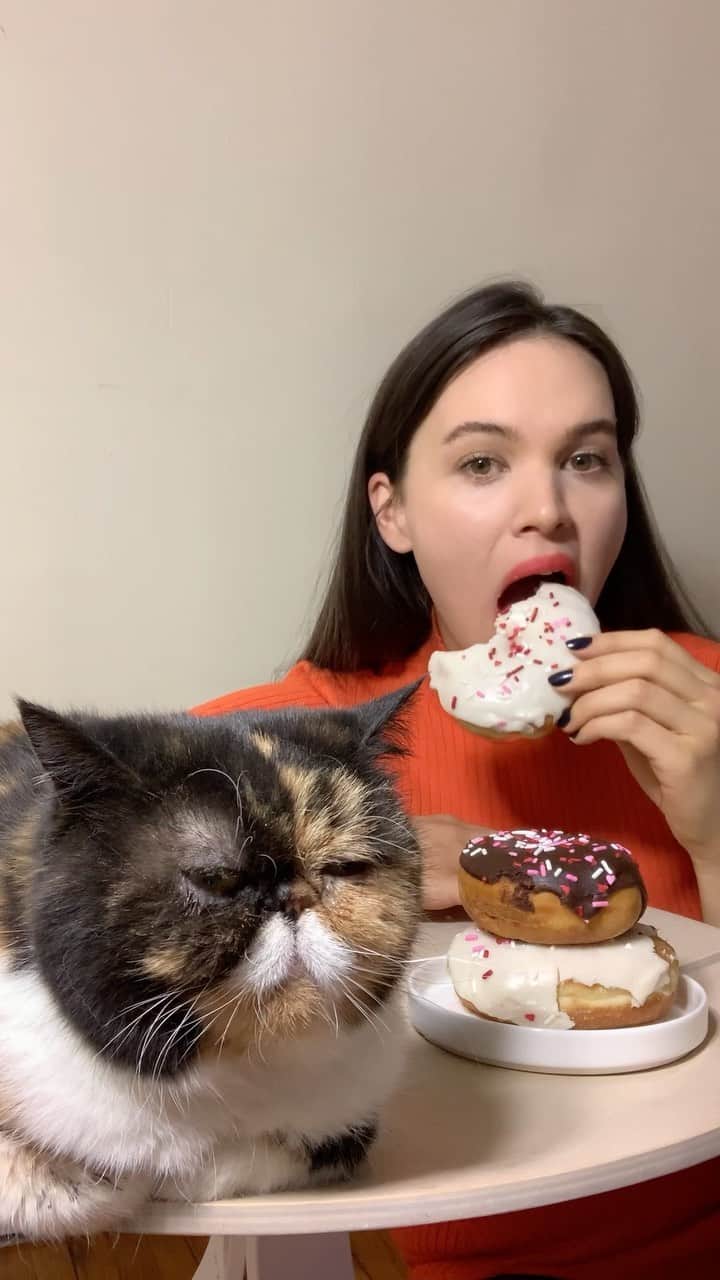 Pudgeのインスタグラム：「How was your Valentine’s Day? - @glamdolldonuts #glamdolldonuts #asmreating #donuts #doughnuts #foodie #earingasmr #asmrvideos #asmr #carbs #eatingsounds #eatingdonuts #donutlover #foodiesofinstagram #minneapolisfoodie #mukbang」