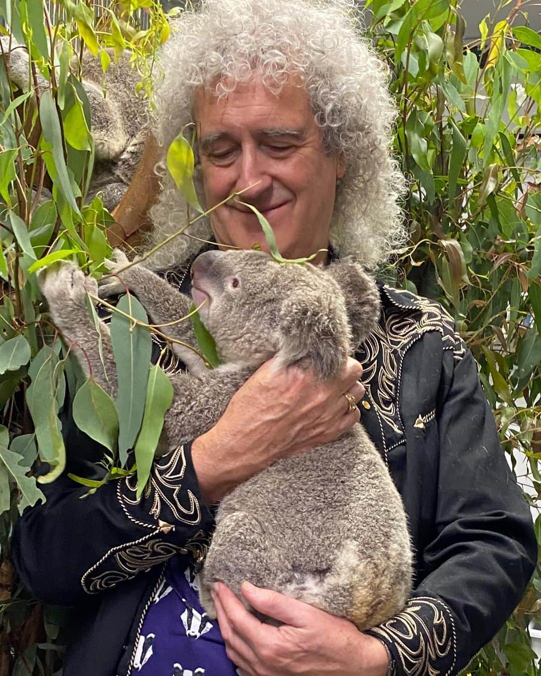 ブライアン・メイさんのインスタグラム写真 - (ブライアン・メイInstagram)「I’ll be thinking of this lovely chap on stage tonight.  If you wanna donate to the animal rescue operation, please see the link in my Bio.  Bri」2月16日 3時00分 - brianmayforreal