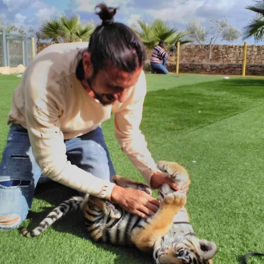 クリスティアン・ザッカルドさんのインスタグラム写真 - (クリスティアン・ザッカルドInstagram)「🐅 🐯 #tbt #Malta #tiger #memories #amazing #experience #funny」2月16日 3時08分 - cristianzaccardo