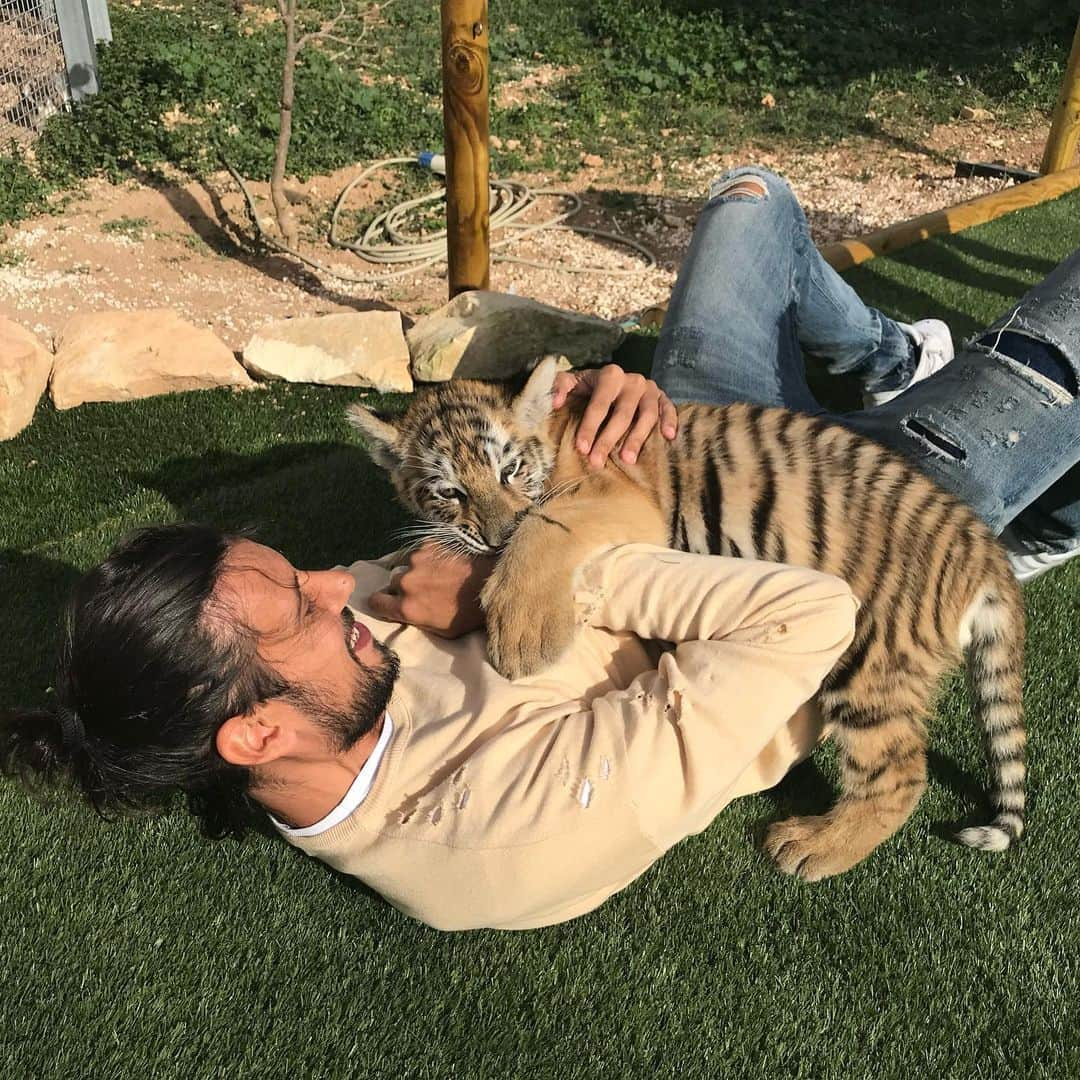 クリスティアン・ザッカルドさんのインスタグラム写真 - (クリスティアン・ザッカルドInstagram)「🐅 🐯 #tbt #Malta #tiger #memories #amazing #experience #funny」2月16日 3時08分 - cristianzaccardo