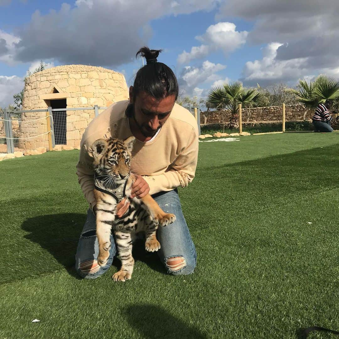 クリスティアン・ザッカルドさんのインスタグラム写真 - (クリスティアン・ザッカルドInstagram)「🐅 🐯 #tbt #Malta #tiger #memories #amazing #experience #funny」2月16日 3時08分 - cristianzaccardo