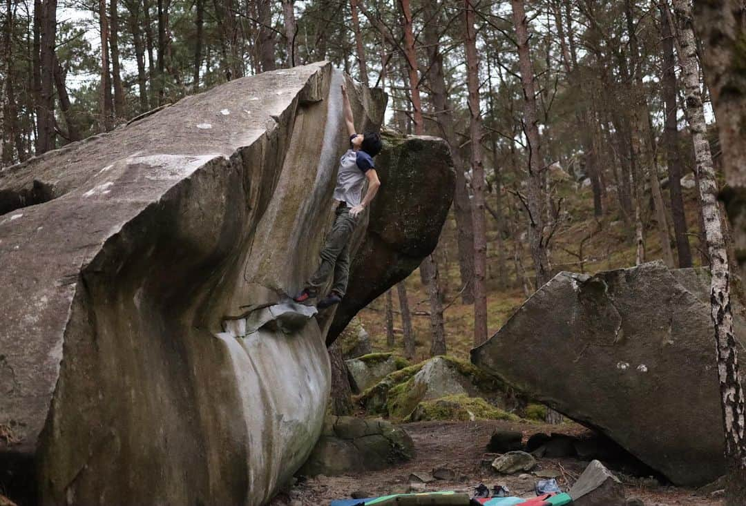 濱田健介のインスタグラム：「Fontainebleau day4. Today, I tried Karma 8A+, but I couldn’t. I was depressed because I wanted to climb it so much. But I send Rainbow rocket 8A in the evening. I was surprised because I thought it was impossible for my reach. One of the best dyno in the world? Photo and video are Rainbow rocket 8A. ブロー4日目。 今日はやりたかった Karma 8A+ にトライしたけど、敗退。。スローパー持てん。。登りたかった一本なので残念。。 夕方せっかくなので、Rainbow rocket 8Aにトライ。距離的に厳しそうやし、記念受験のつもりやったけど、案外いけそう？ってことで夕暮れ前30分でマシンガントライしたら何とか登れた。 これは予想外やったし、喜んでいいのかわからんけど、とりあえず登れて良かった。ランジ課題としては今までで1番いいかも？ 写真と動画はRainbow rocket 8A。動画はいろいろ言ってるので、是非音声ありで。 @rockmasterhq  @unparallelup  @organicclimbing  @nogradjustfeeling  @camp1889」