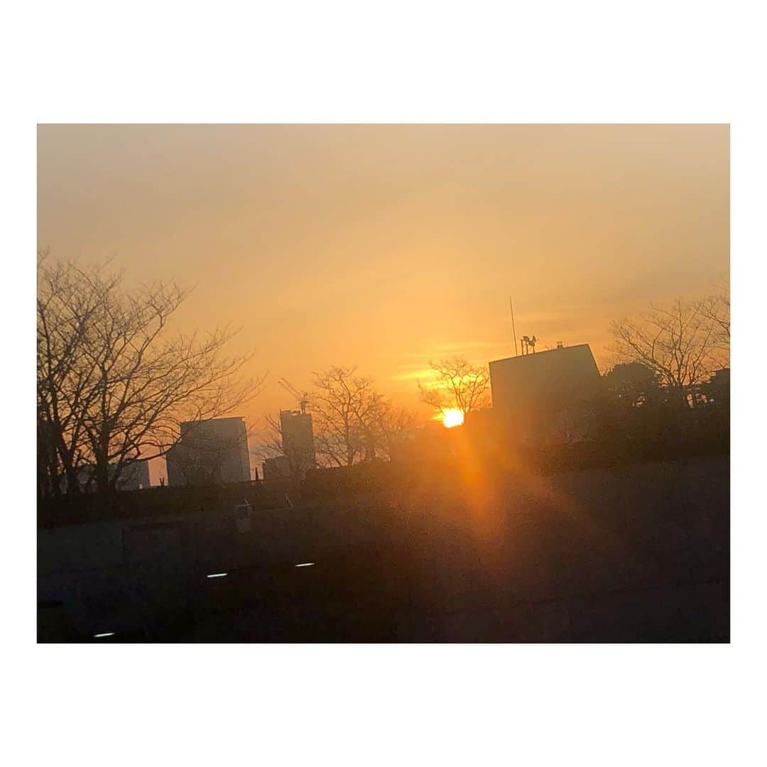 高橋メアリージュンさんのインスタグラム写真 - (高橋メアリージュンInstagram)「Good morning🌅」2月16日 7時06分 - maryjuntakahashi