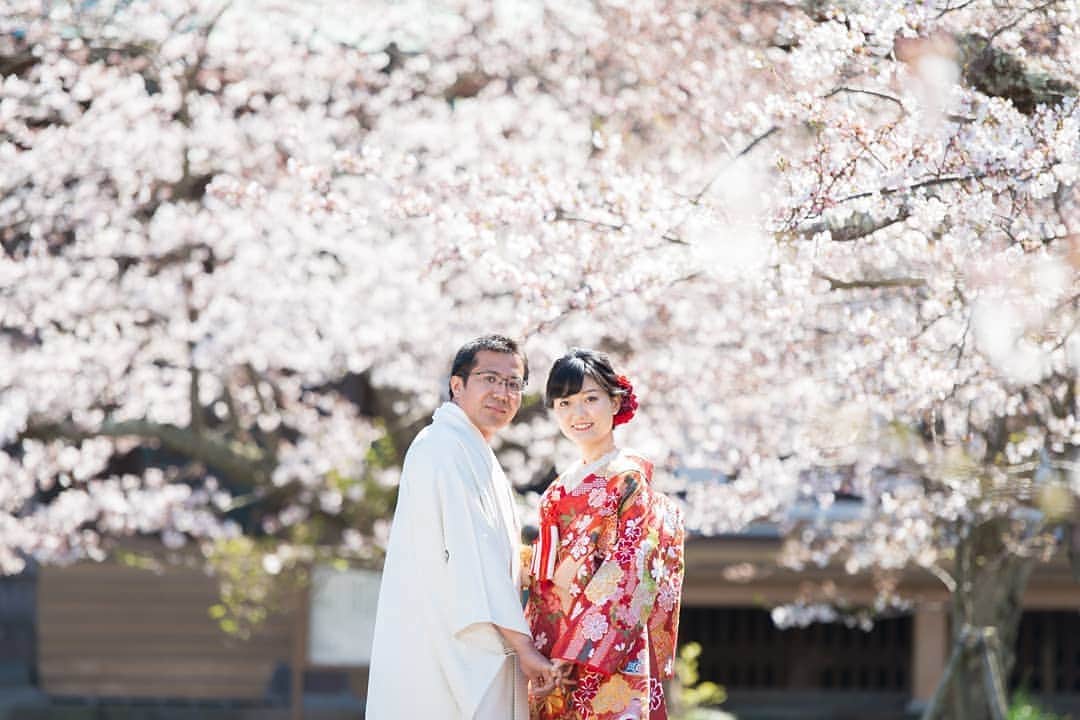 鎌倉プリンスホテル写真室_la-vie factoryのグルメインスタ