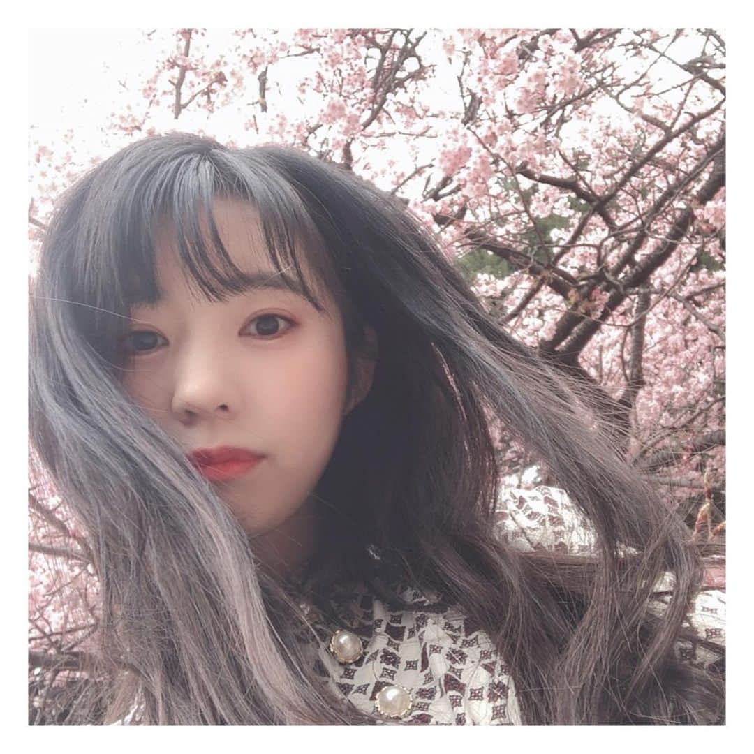 のインスタグラム：「新宿御苑 桜のお花の知識が少ないので、この桜の種類が早いのか、そもそも早いのか分からないんだけど、 そもそも早いんだとしたら、くまちゃんは冬眠できなかったみたいだし、もう鼻むずむずだし、地球さんごめんなさい。 #新宿御苑 #桜 #🌸 #2020 #japan #cherryblossom #벚꽃 #벚꽃🌸#followｍe #셀카 #셀카그램 #팔로미 #좋아요」