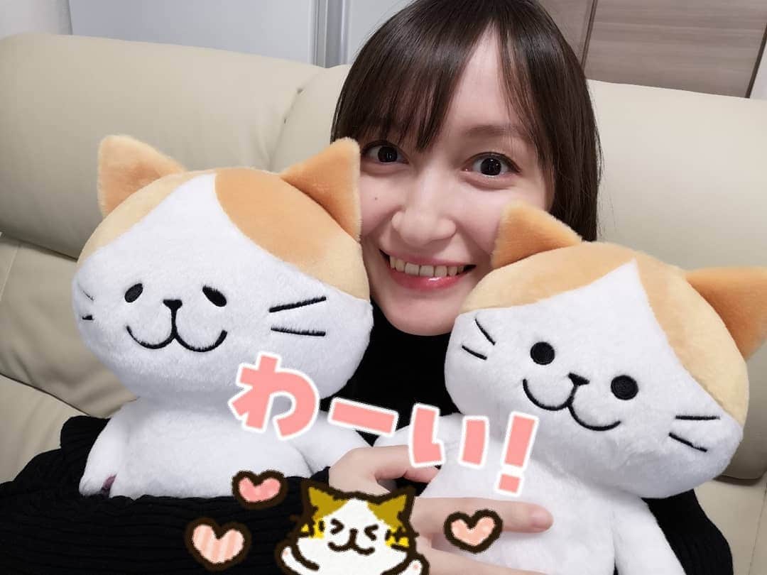 白井珠希のインスタグラム：「* * 大大大好きなキャラクター「チャンパチ」。 LINEスタンプも、LINE着せ替えも、絵文字も全部これ！ってくらい大好きなんです💕 そんなチャンパチのぬいぐるみ、MサイズとLサイズが我が家にやって来た〜〜！！ * 発売が発表されてから即予約して、楽しみに待ってたので、届いてダンボール開けた瞬間の喜びたるや😆🎉 おさかなクッションを抱えてるのも可愛すぎて…😭 * 夫も大好きなので、毎日撫でたり、抱えてテレビを見たりしながら、2人でニコニコしています。 すがわらあいさん、ありがとうございます🌟🌟 * * #チャンパチ #チャンパチとあそぼ #すがわらあい #ぬいぐるみ #ぬいぐるみじゃありません家族です #猫 #ねこ #ねこすたぐらむ #猫ぬいぐるみ #ねこぬい #ぬい撮り」