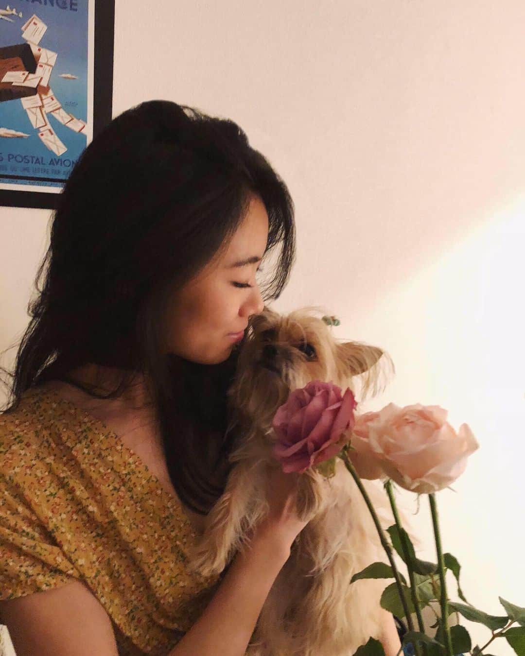芦田ユリナのインスタグラム：「A short story🌹✨ #photography #home #chorkie」