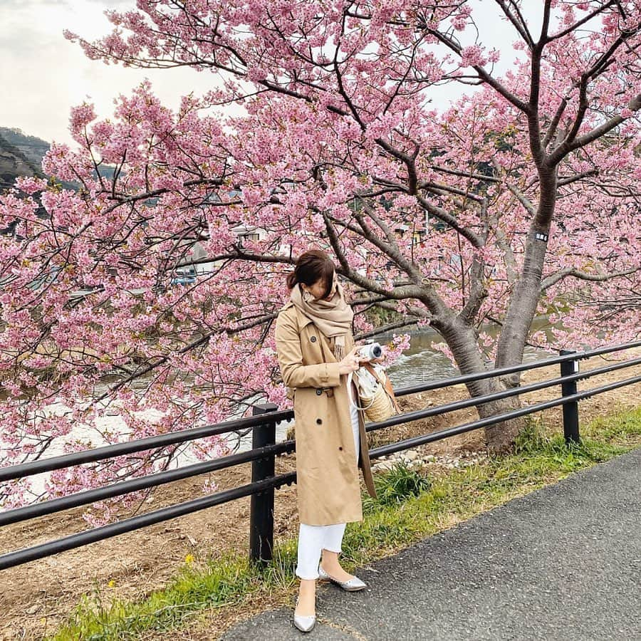 chiyo1173さんのインスタグラム写真 - (chiyo1173Instagram)「🌸🌸🌸 この週末で、毎年恒例の河津桜を見に 伊豆に行って来ました。 ・ ・ 昨日は曇り空、今日は雨降り。 お天気には恵まれませんでしが、 河津桜はちょうど満開で今年もとっても綺麗✨ でも晴れていたら、もっと綺麗だったのになー… ・ ・ 綺麗な桜と海を満喫して、 たーっぷりリフレッシュ出来た週末。 明日からまた頑張ろー٩(ˊᗜˋ*)و ・ ・ #河津桜#河津桜まつり#伊豆#伊豆旅行」2月16日 19時20分 - chiyo1173