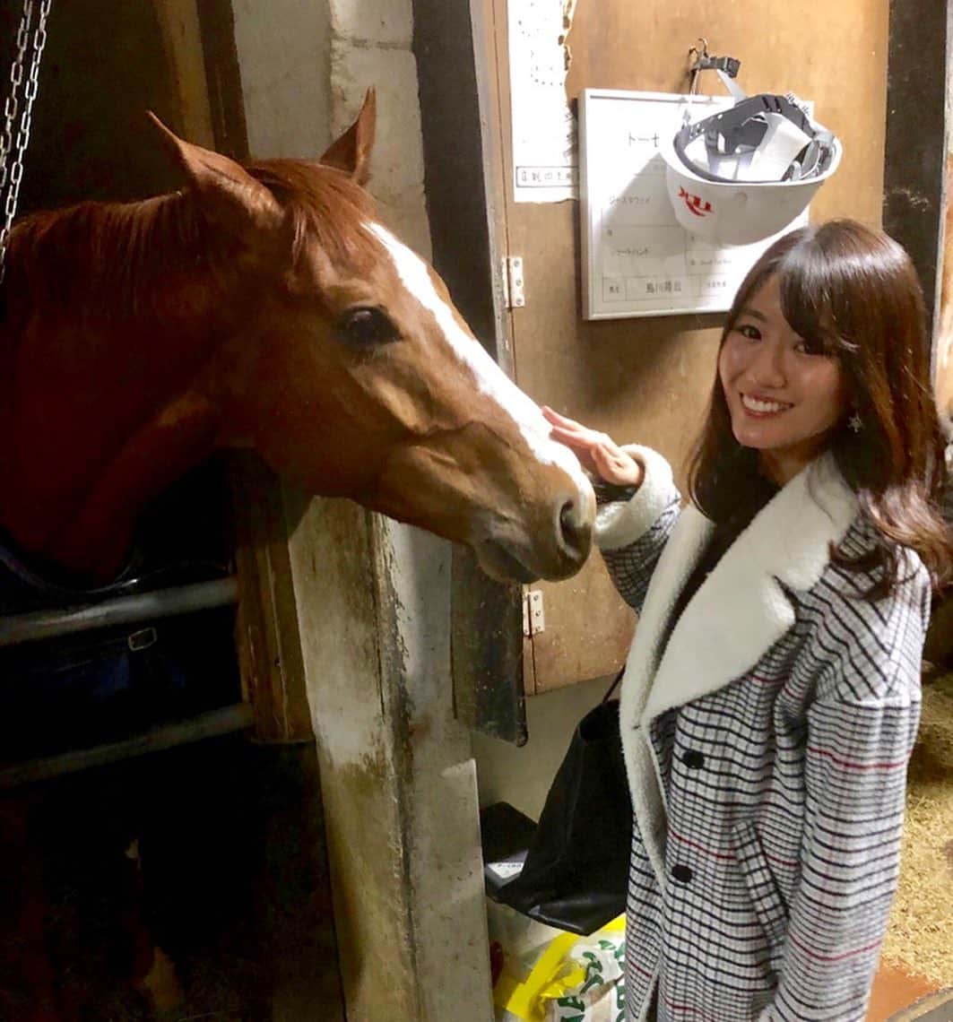 のインスタグラム：「. . 大井競馬場🐴 厩舎🐴 かわいいー♡ . . 3連複当たったけど 賭け金すくなすぎてwww . . #大井競馬場#東京シティ競馬  #厩舎#おうまさん #競馬#パドック」