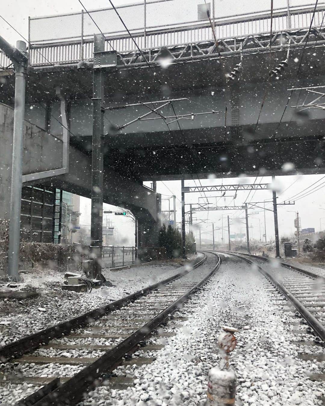 ハン・ソナさんのインスタグラム写真 - (ハン・ソナInstagram)「눈이 눈처럼 오네 마지막 눈이겠지」2月16日 11時40分 - shh_daily