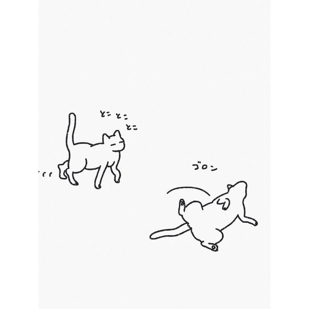 eriさんのインスタグラム写真 - (eriInstagram)「朝起きると猫が木登りして床に木の葉が散らばっていて、ユマにご飯をあげると、その残飯を狙うため仔猫がまわりをハイエナのように取り囲むというのが我が家の毎朝の風景です…。　#紋久育児日記」2月16日 12時33分 - e_r_i_e_r_i