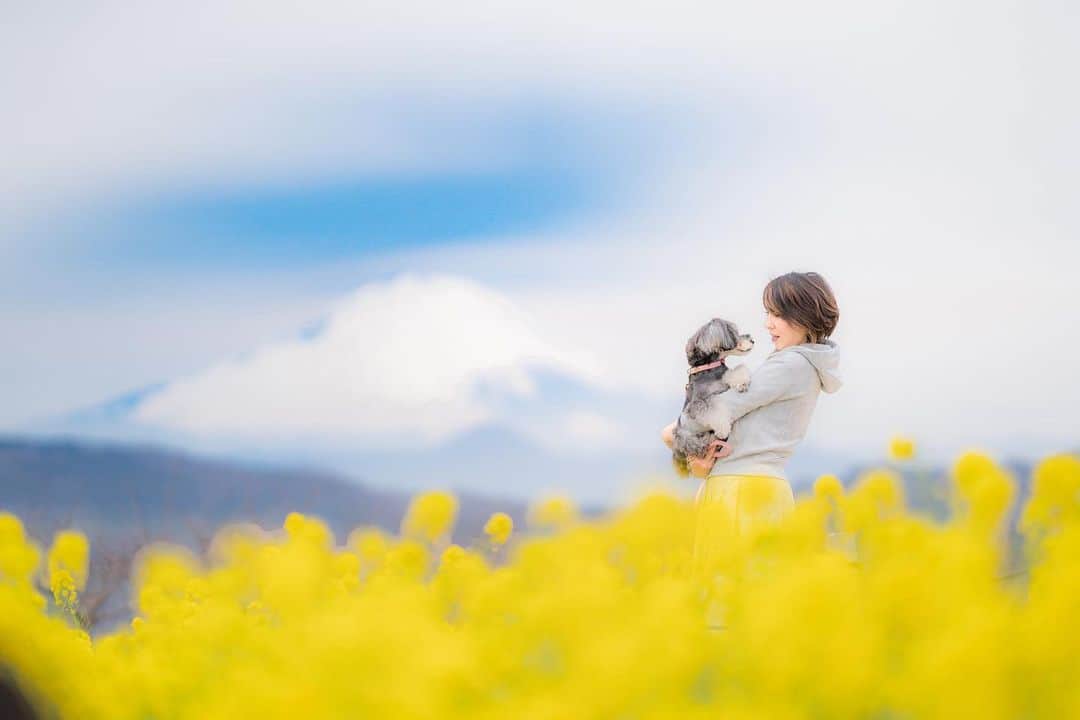 中野区在住のミニシュナのInstagramのインスタグラム