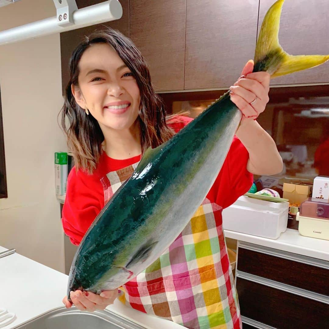 みかんさんのインスタグラム写真 - (みかんInstagram)「鰤🐟鰤🐟鰤🐟 キタァッーーー‼️ 岩村の兄貴からお祝いで宇和島産の鰤を送ってくれました💕 愛媛は鯛も有名だけど鰤も最高なのよ✨ オネェージャーや旦那の友達も呼んで鰤しゃぶパーティー🎉したわ🤤 7kg近くの鰤は流石に捌くのは大変だったけど、頑張って捌いたわよ🔪 出刃包丁を初めて購入しようかと思ったわ💦 当分は鰤の照り焼き、鰤大根、鰤の天ぷら、鰤料理が続きそう(笑) 岩村の兄貴ありがとう😊 いいおっぱいが出るわ🤱💕 #鰤 #宇和島産 #宇和島の鰤が一番好き #岩村敬士 #鰤しゃぶ #頑張って捌いた #腕疲れた #当分、鰤三昧」2月16日 14時20分 - mikan02241984